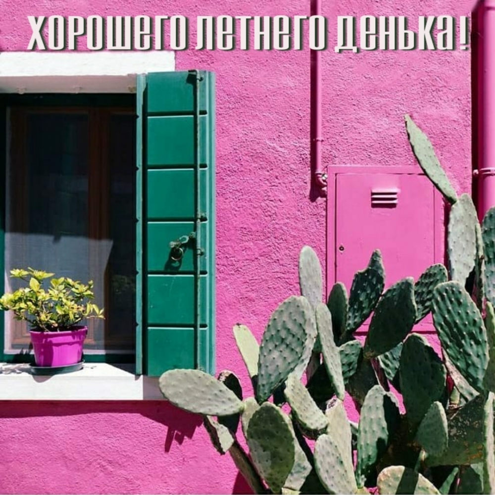 Хорошего летнего денька!
