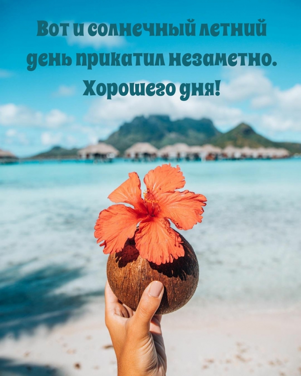 Вот и солнечный летний день прикатил незаметно.