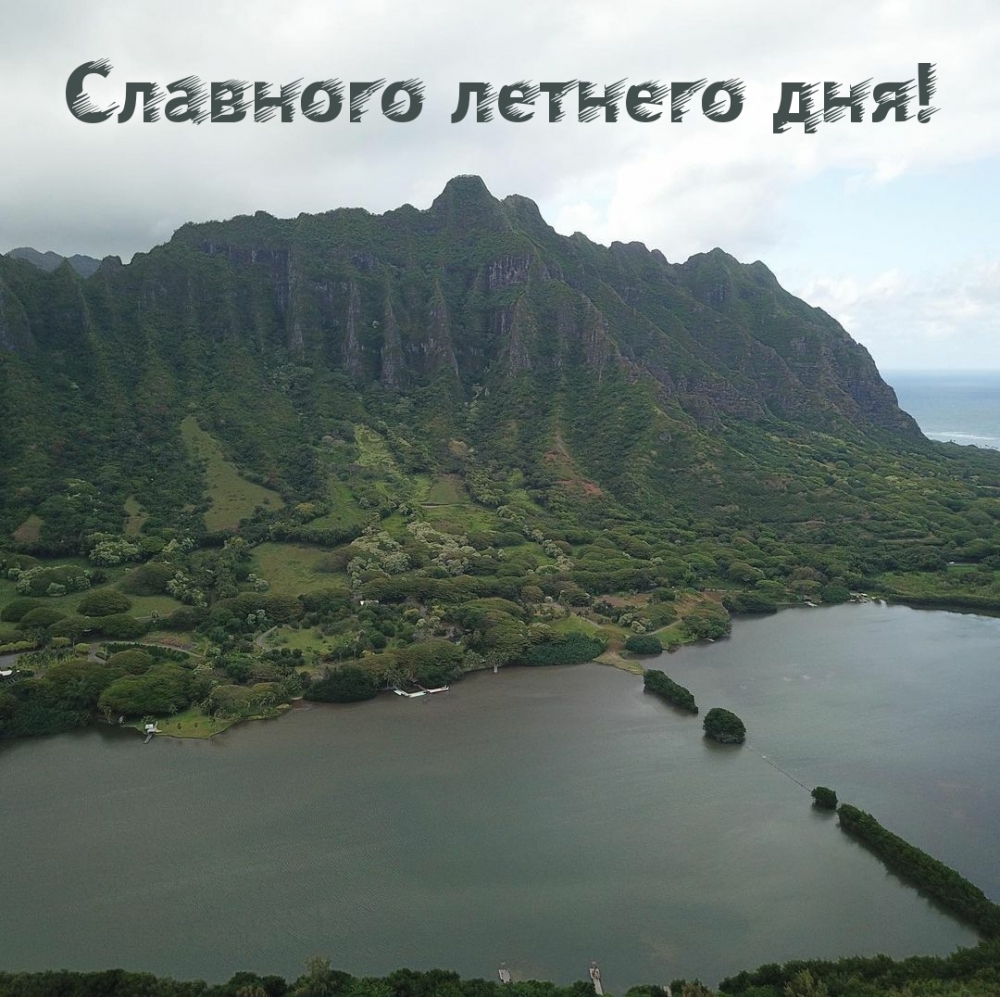 Славного летнего дня!