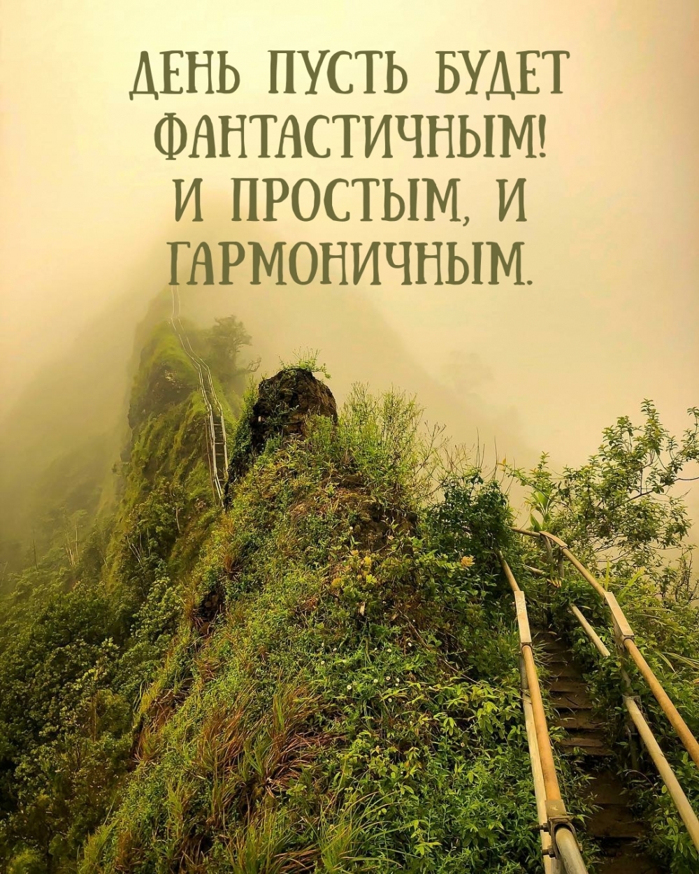 День пусть будет фантастичным! И простым, и гармоничным.