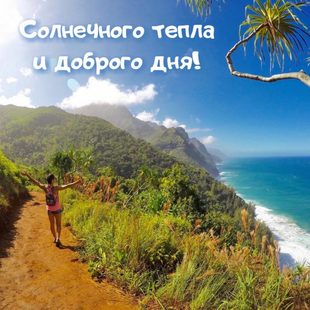 Солнечного тепла и доброго дня!