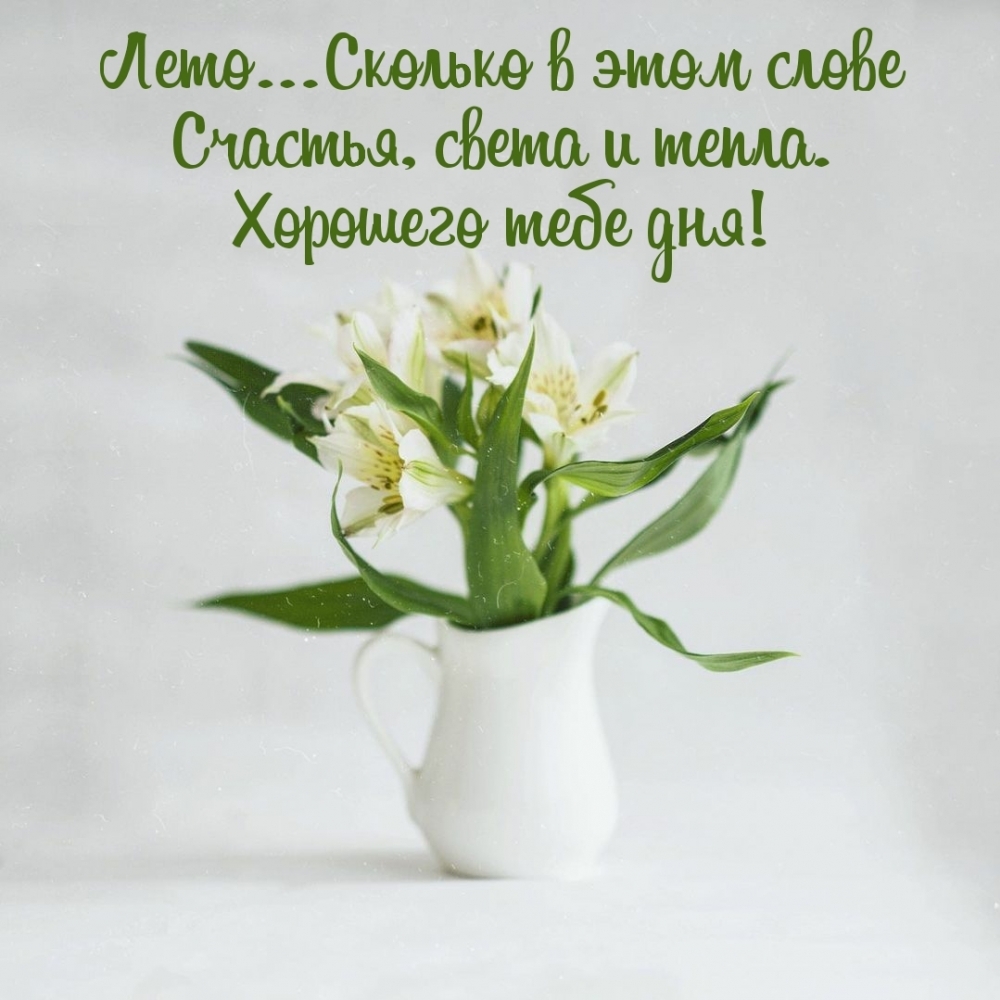 Лето… Сколько в этом слове счастья, света и тепла.
