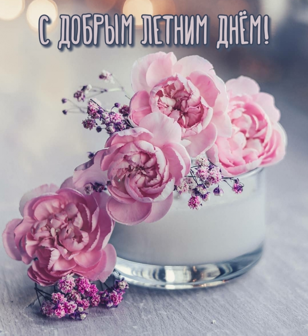 С добрым летним днём!