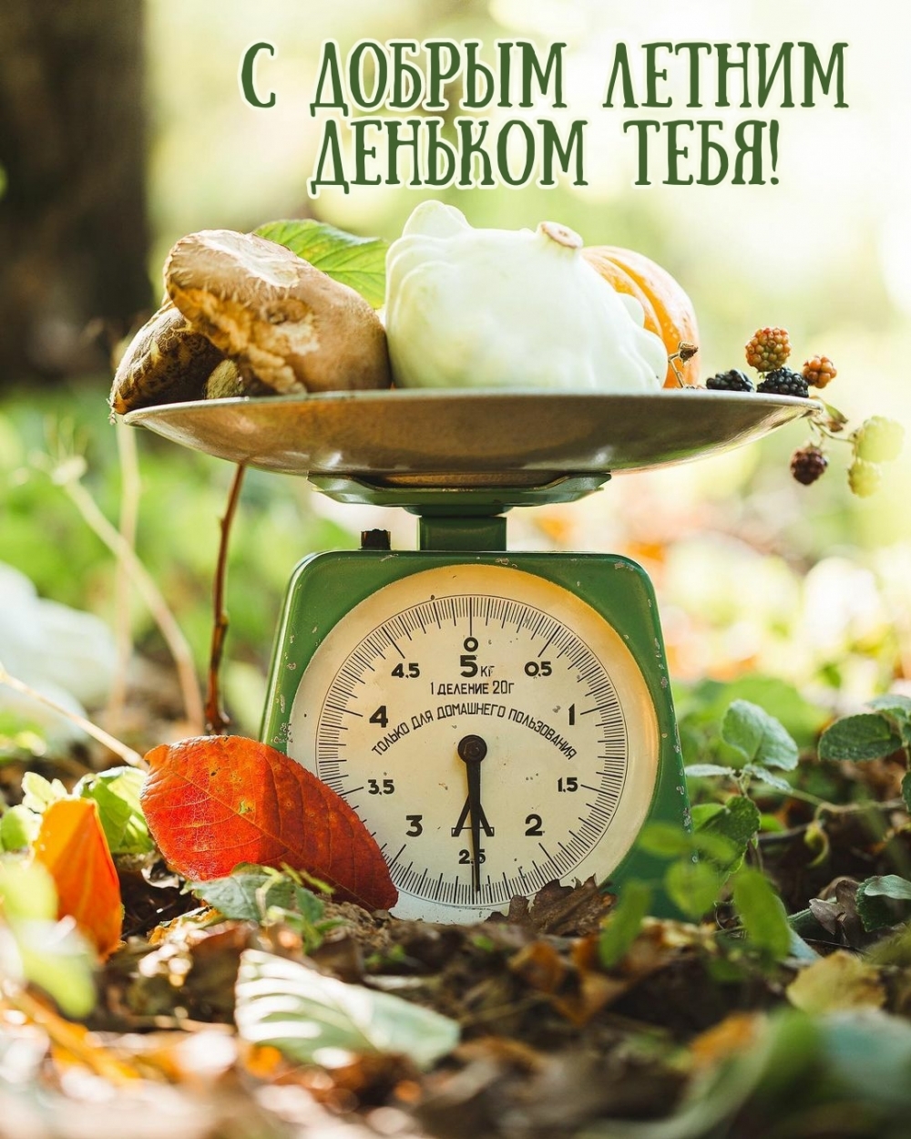 С добрым летним деньком тебя!