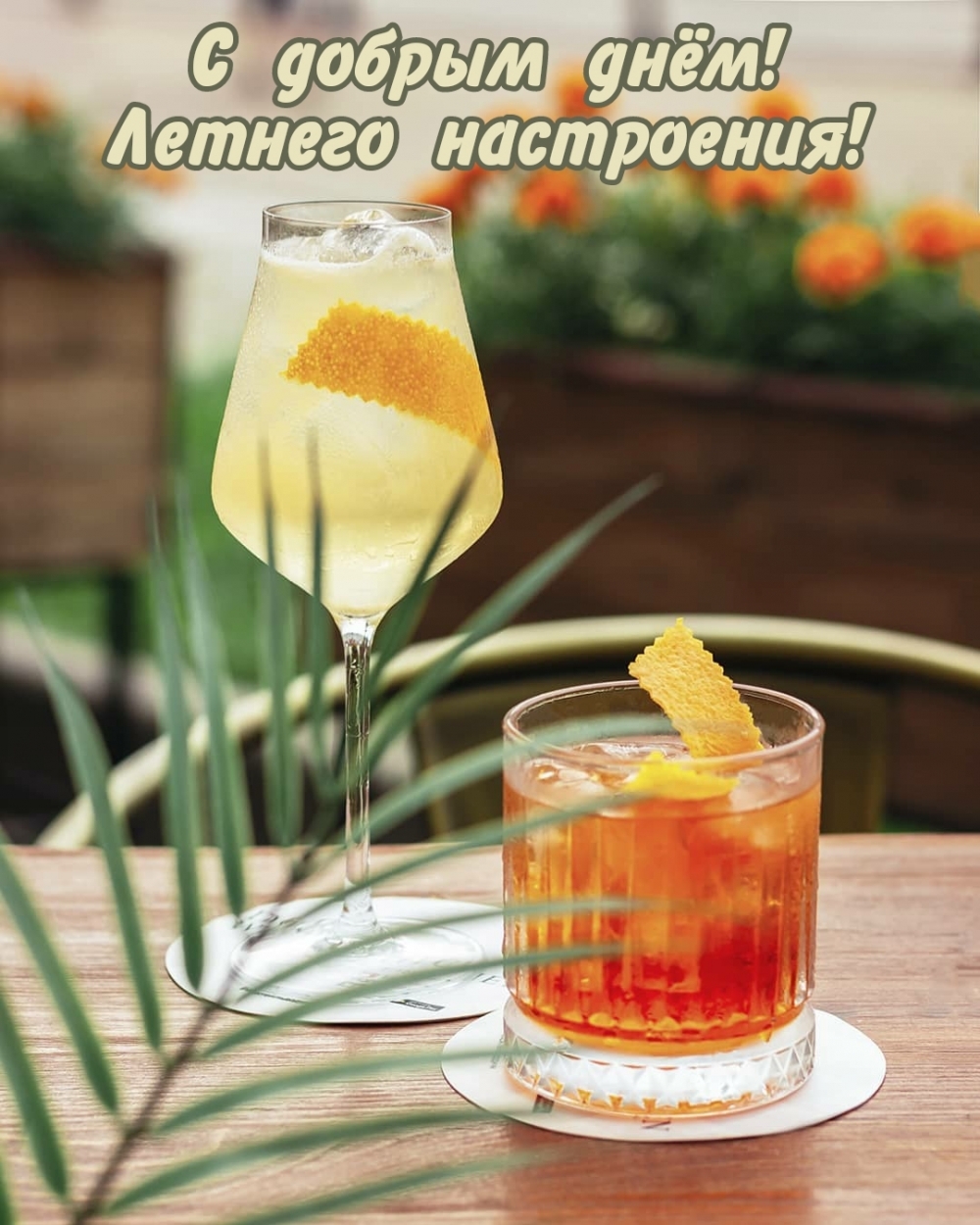 С добрым днём! Летнего настроения!