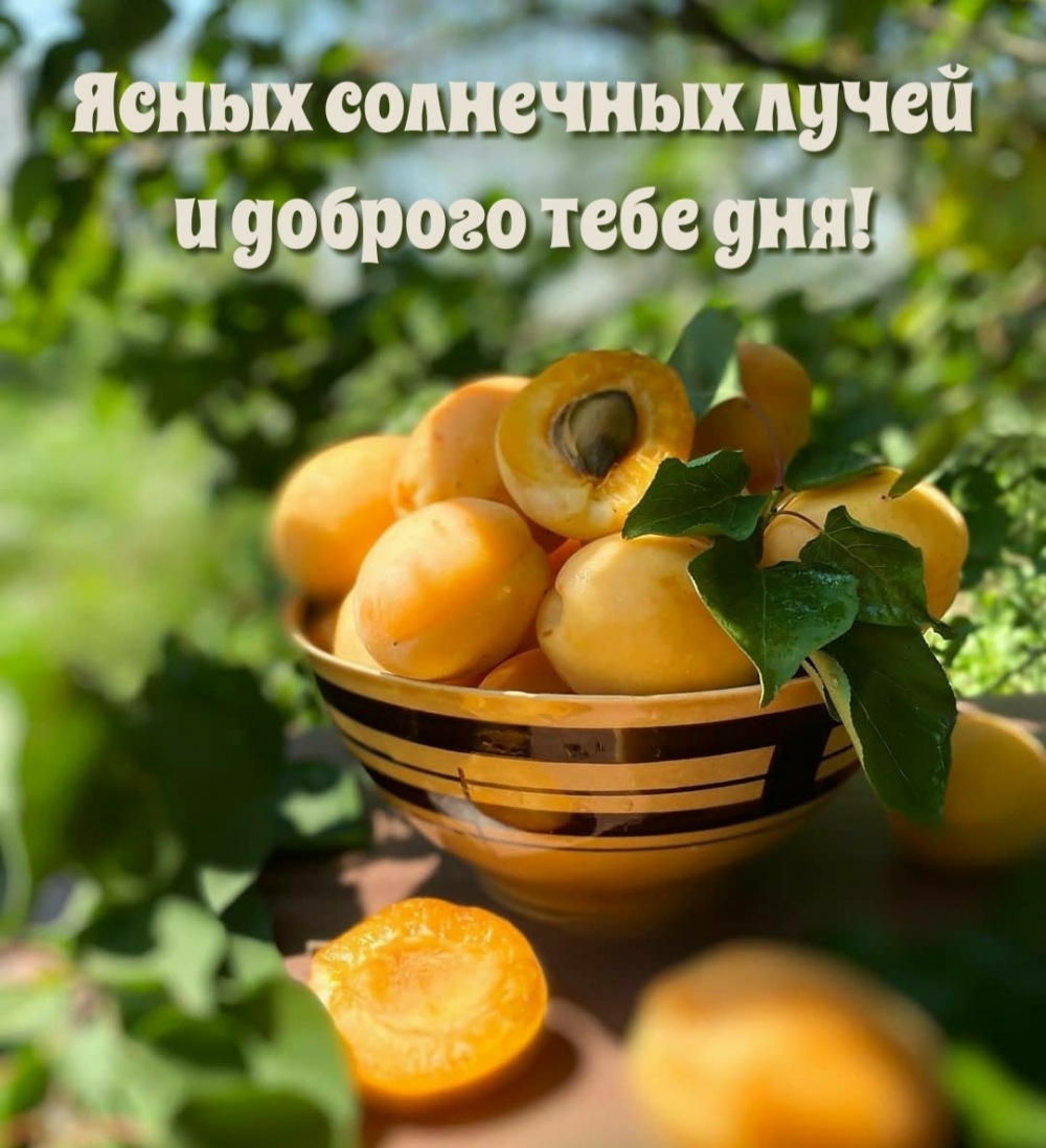 Ясных солнечных лучей и доброго тебе дня!