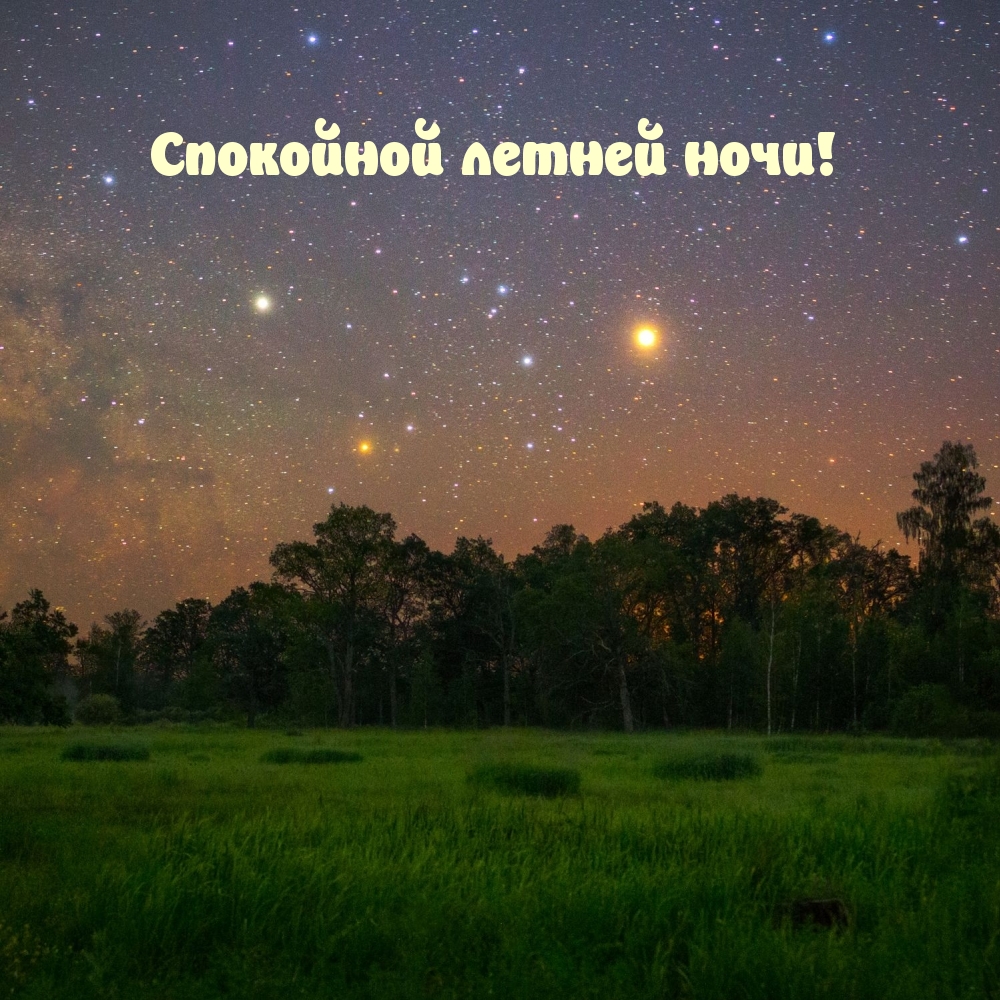 Спокойной летней ночи!