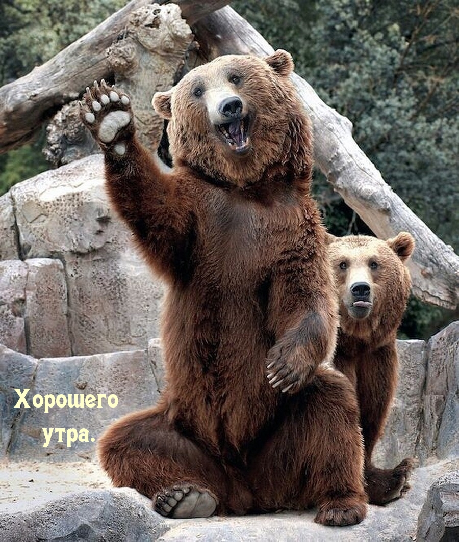 Хорошего утра.