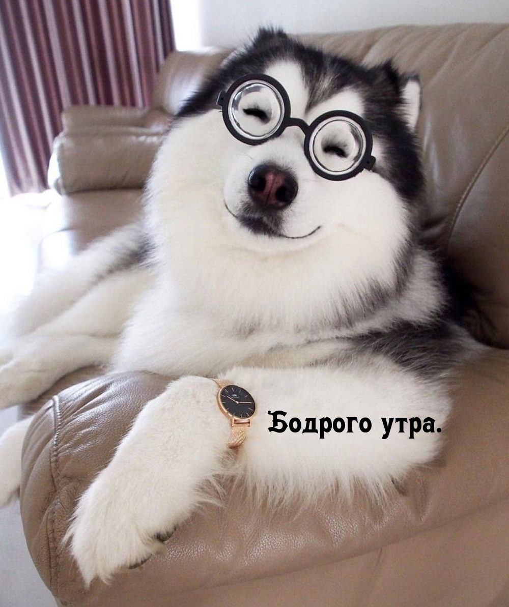 Бодрого утра.