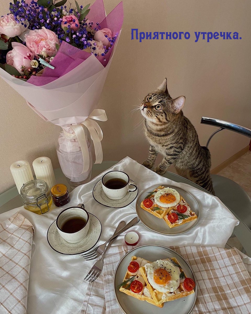 Приятного утречка.