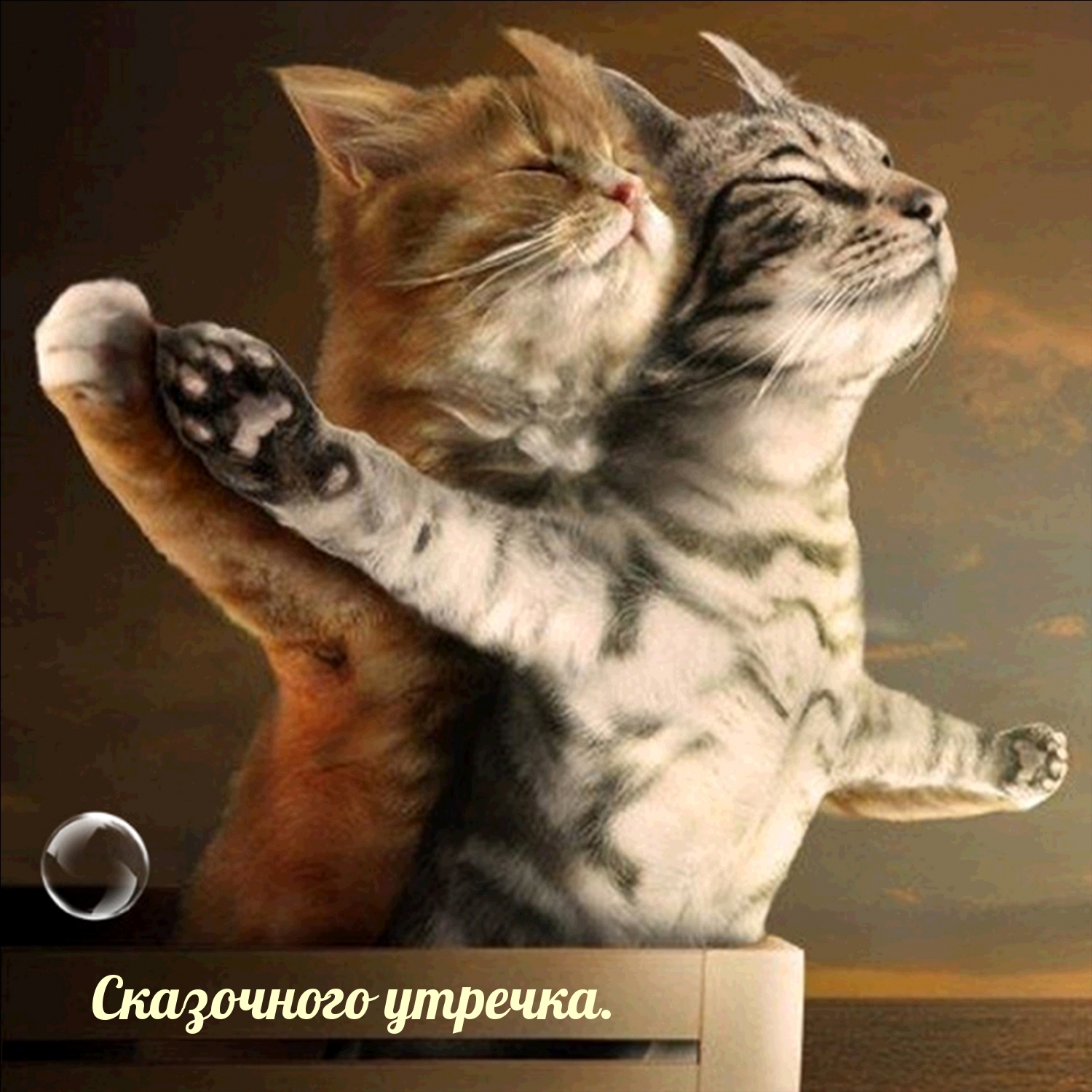Сказочного утречка.