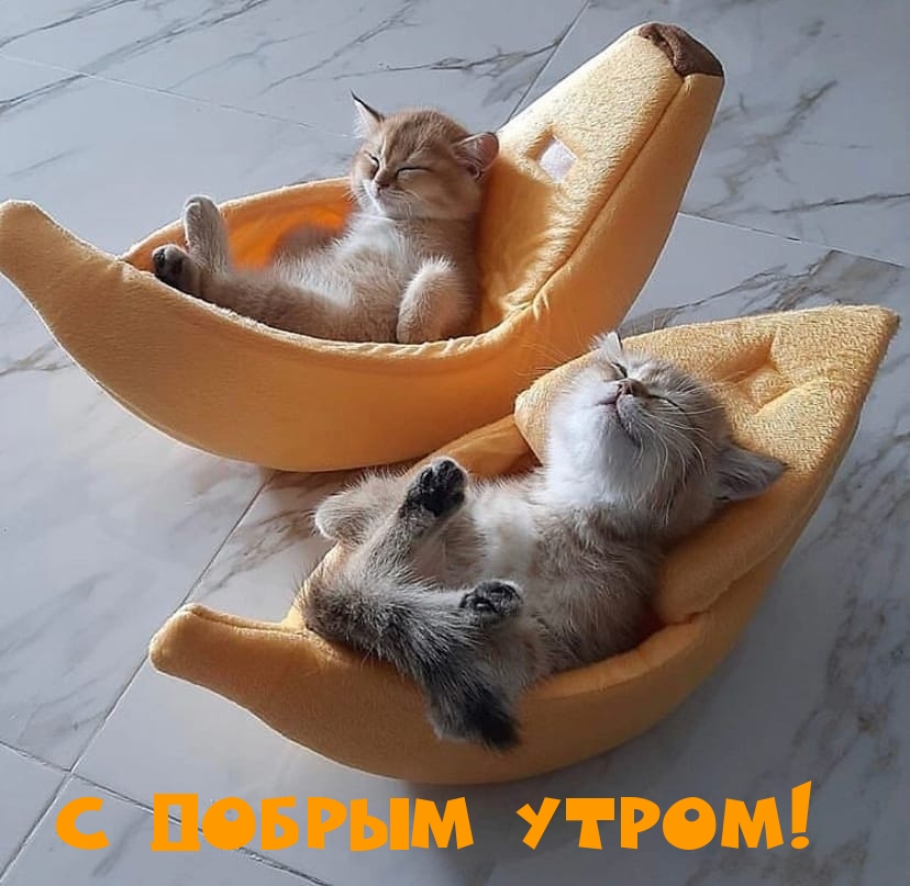С добрым утром!