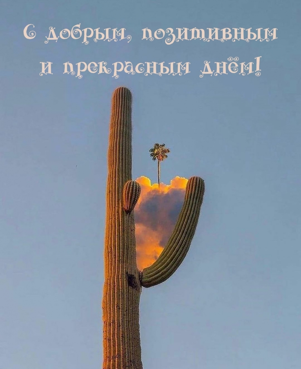 С добрым, позитивным и прекрасным днём!