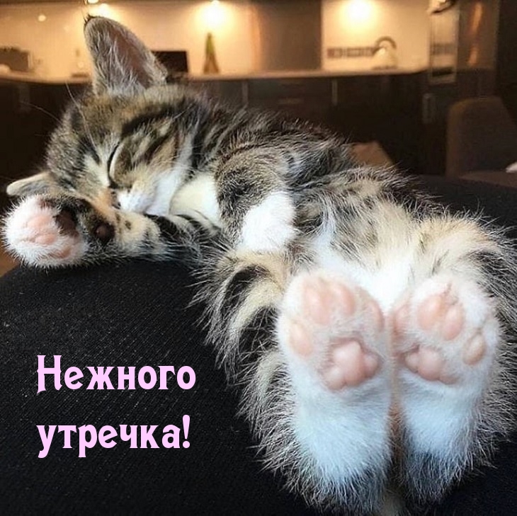 Нежного утречка!
