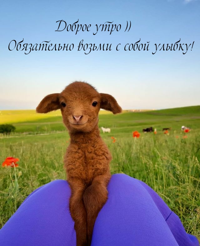 Доброе утро )) Обязательно возьми с собой улыбку!