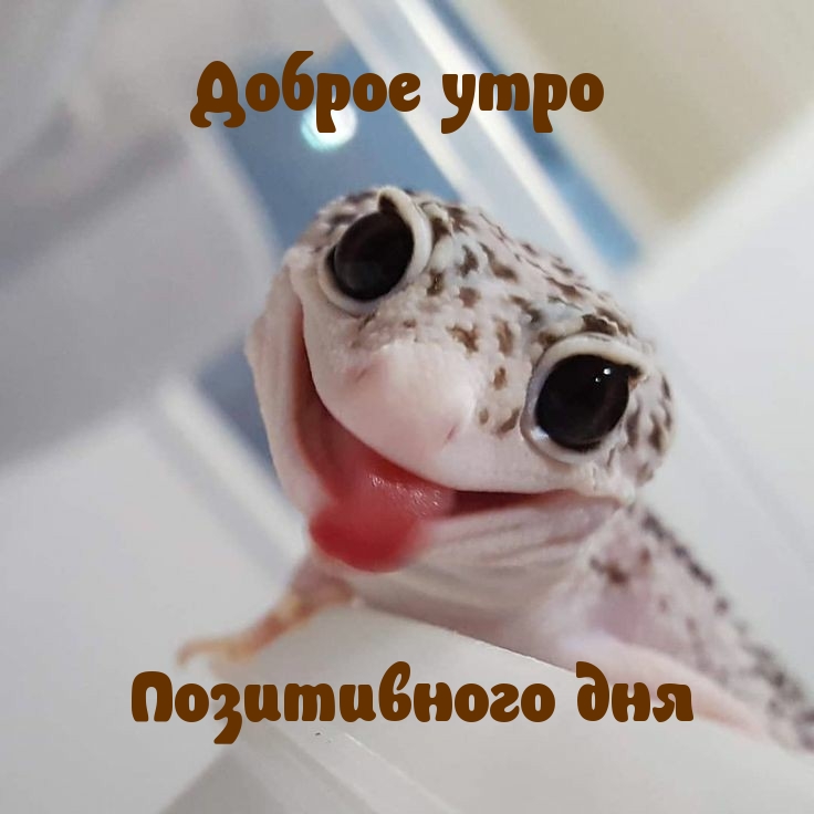 Доброе утро Позитивного дня