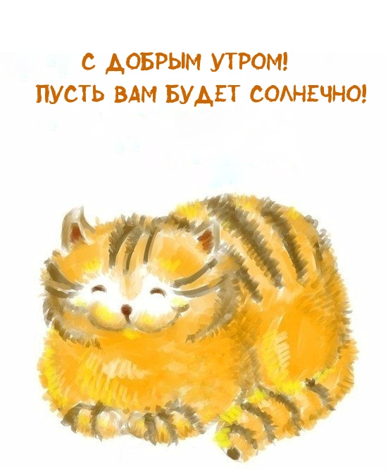 С добрым утром! Пусть Вам будет солнечно!