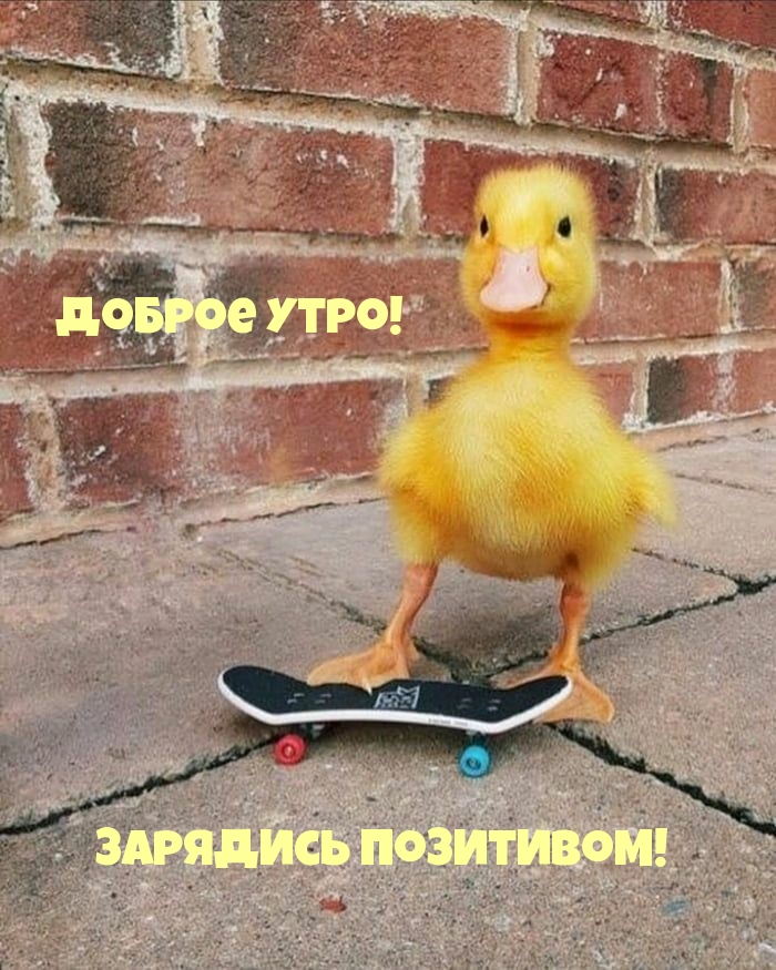 Доброе утро! Зарядись позитивом!