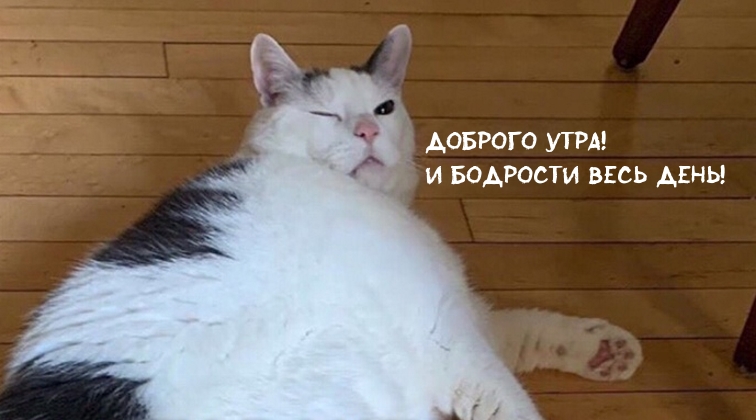 Доброго утра! И бодрости весь день!