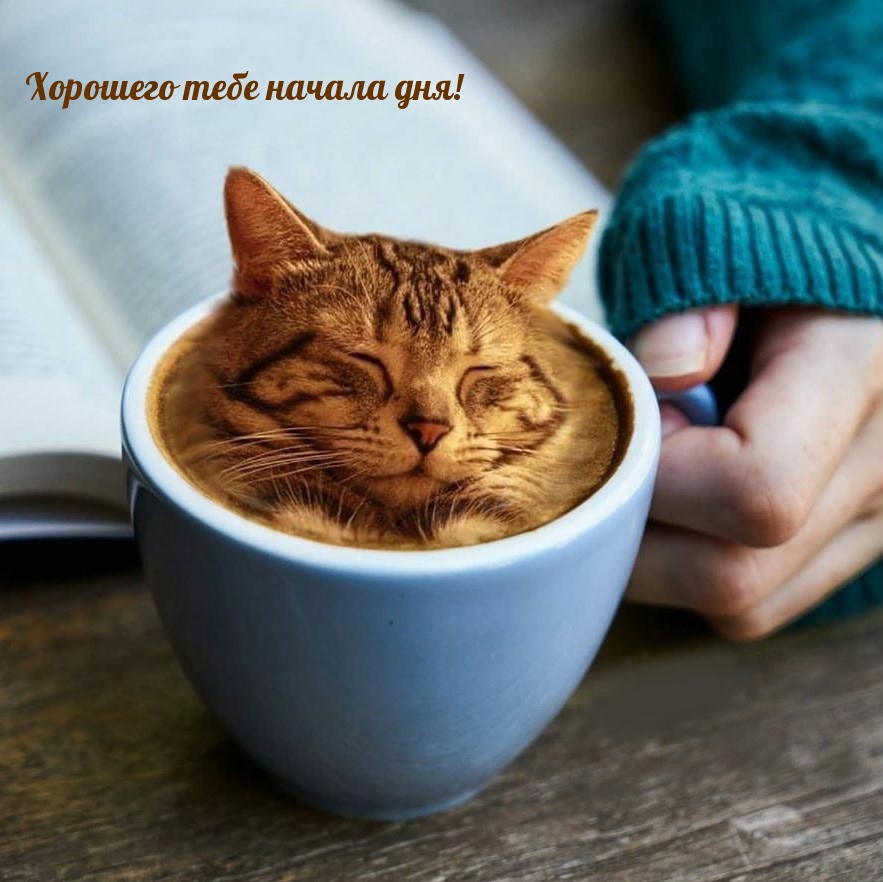 Хорошего тебе начала дня!