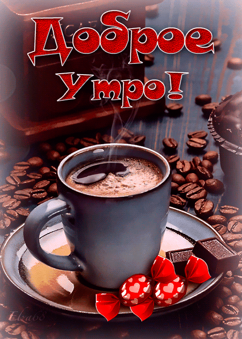 Доброе утро! Веселого дня!