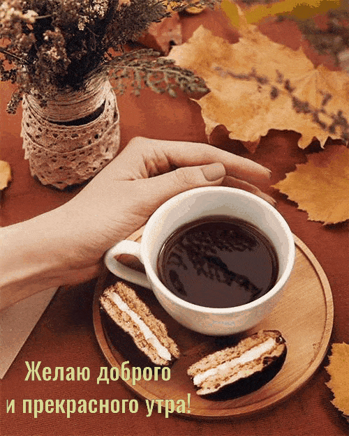 Желаю доброго и прекрасного утра!