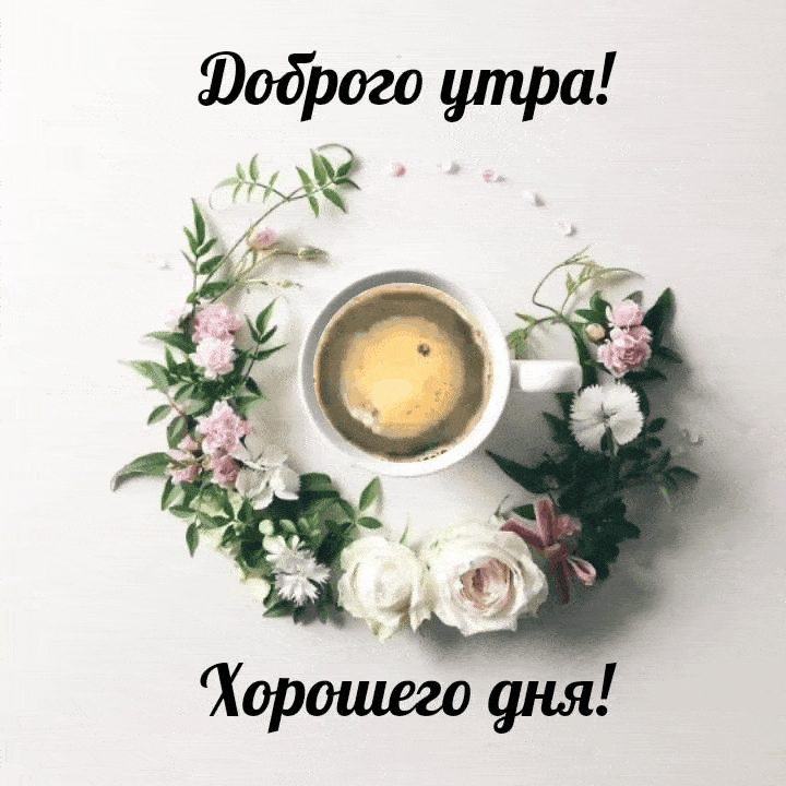Доброго утра! Хорошего дня!