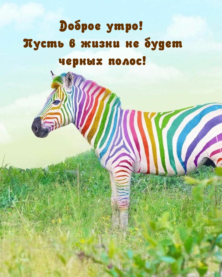 Доброе утро! Пусть в жизни не будет черных полос!