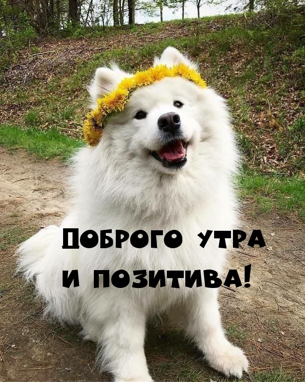 Доброго утра и позитива!