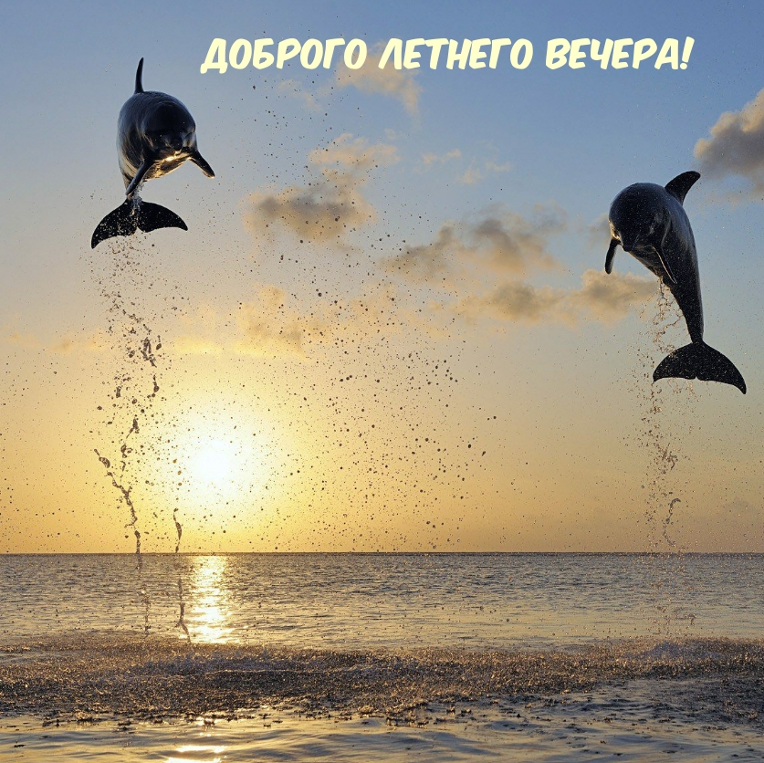 Доброго летнего вечера!