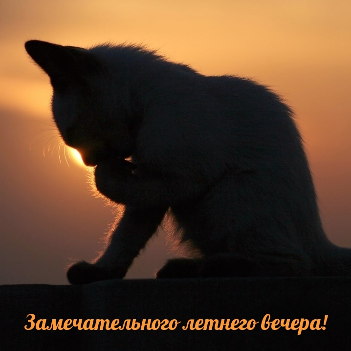 Замечательного летнего вечера!
