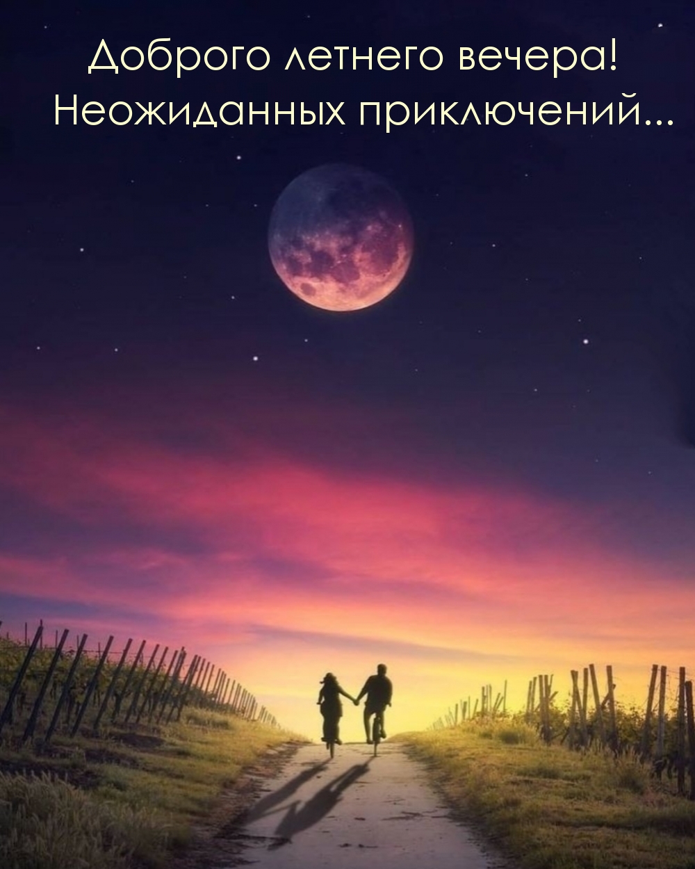 Доброго летнего вечера! Неожиданных приключений…