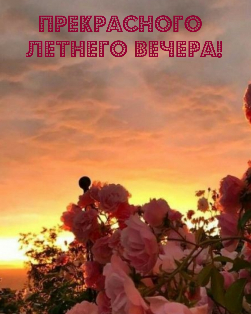 Прекрасного летнего вечера!