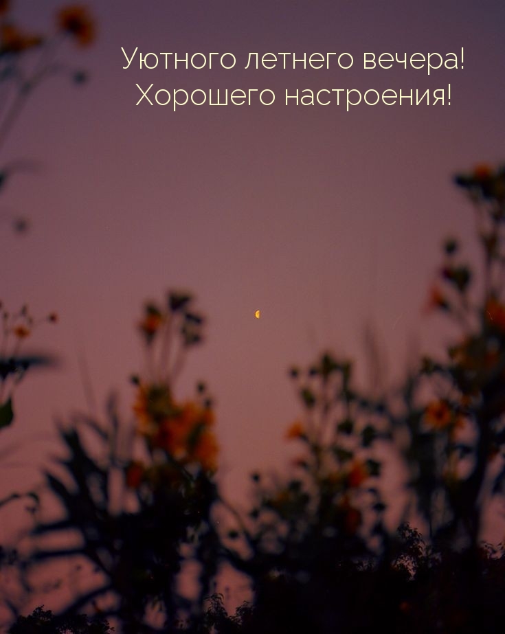 Уютного летнего вечера! Хорошего настроения!