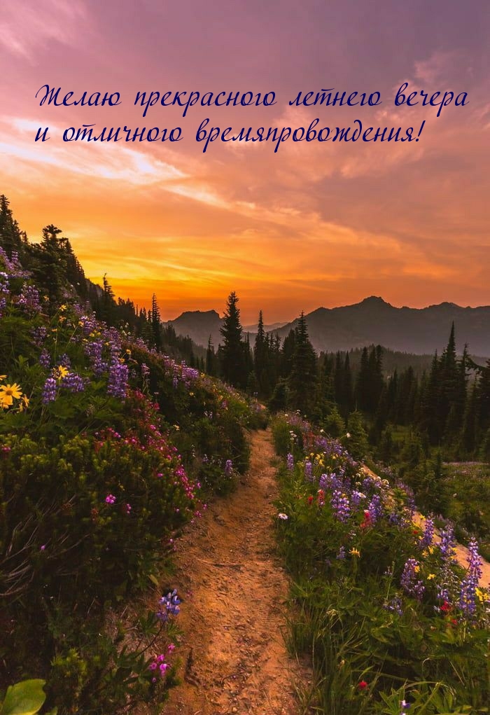 Желаю прекрасного летнего вечера и отличного времяпровождения!