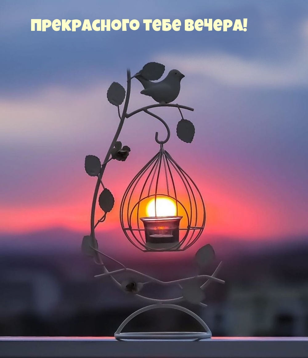 Прекрасного тебе вечера!