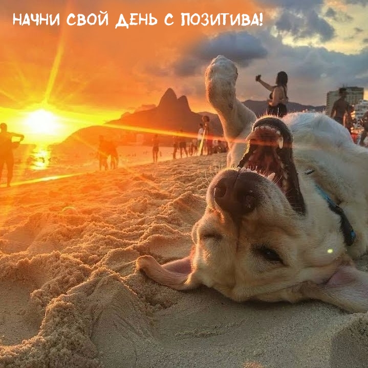 Начни свой день с позитива!