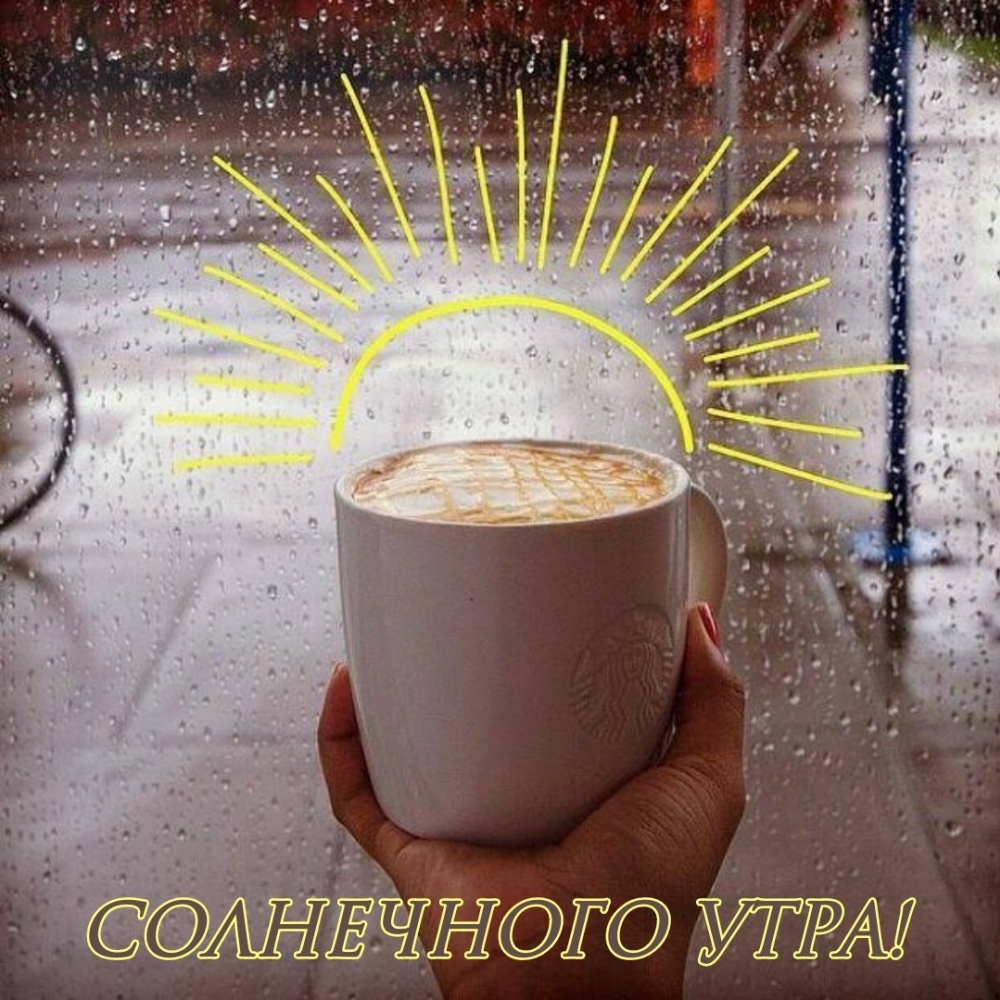 Солнечного утра!