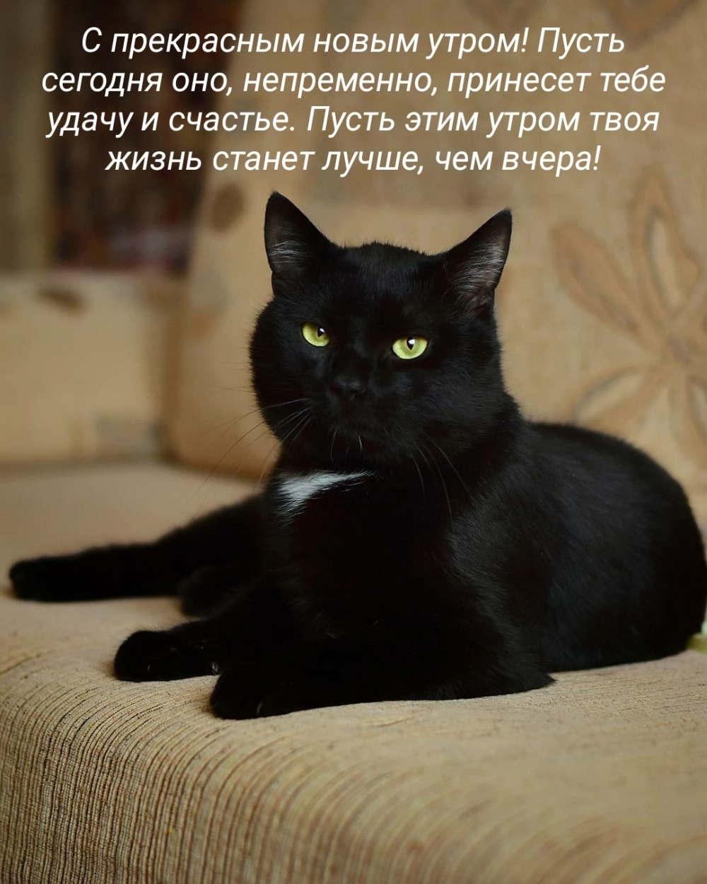 С прекрасным новым утром!