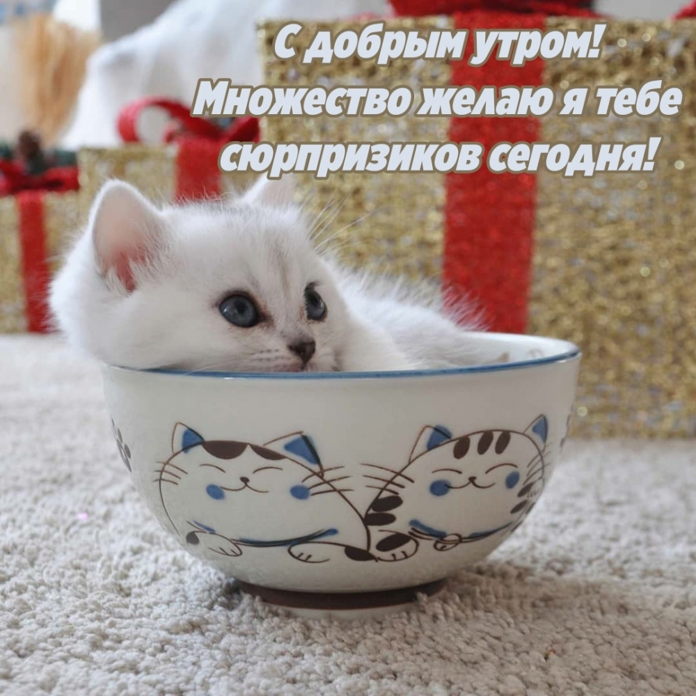 С добрым утром! Множество желаю я тебе сюрпризиков сегодня!