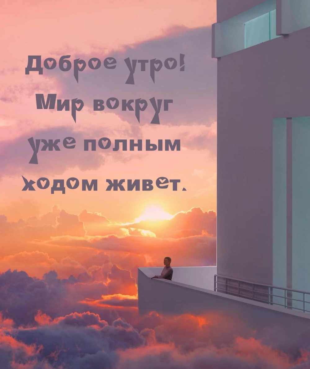 Доброе утро! Мир вокруг уже полным ходом живет.