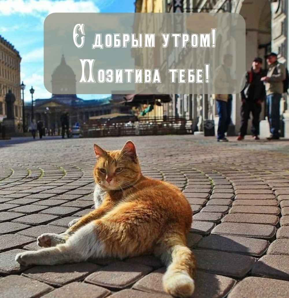 С добрым утром! Позитива тебе!