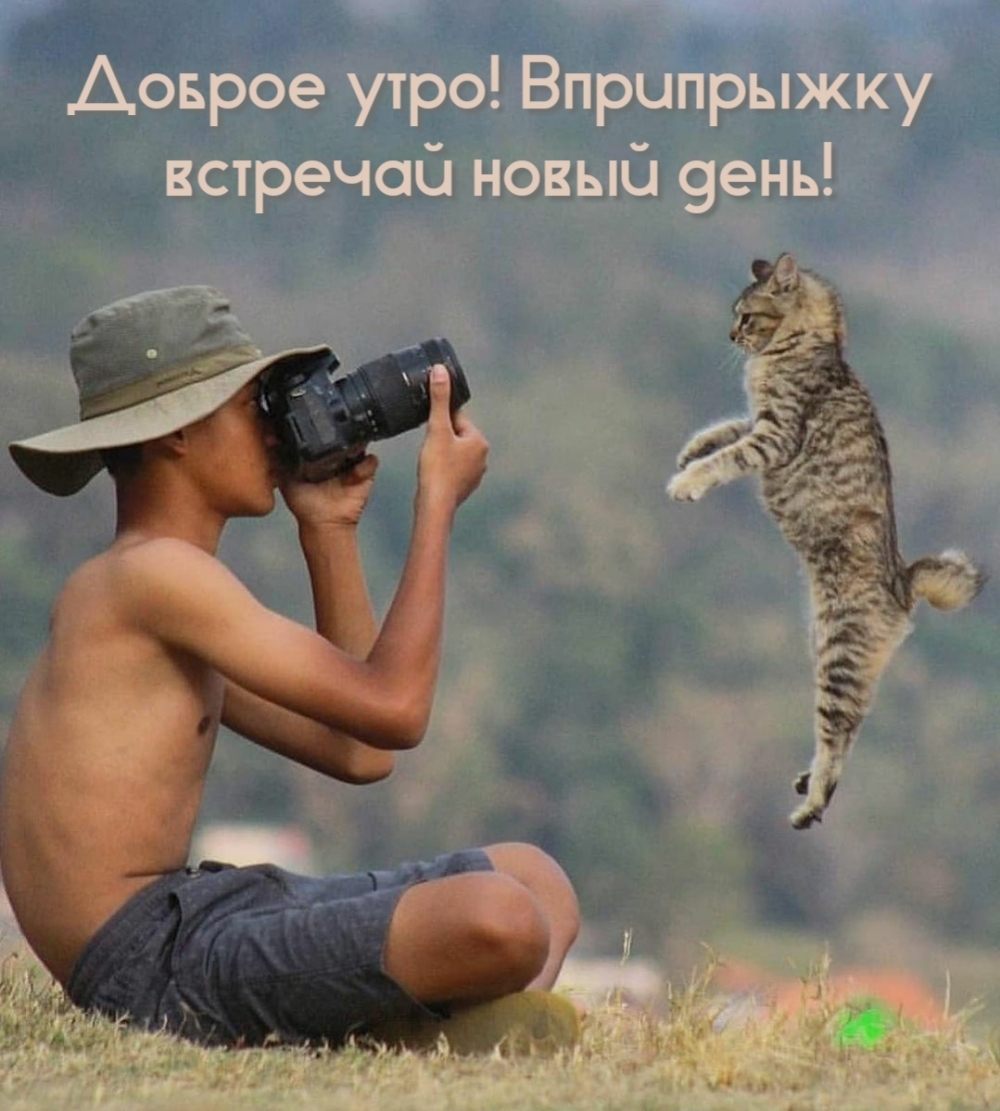 Доброе утро! Вприпрыжку встречай новый день!