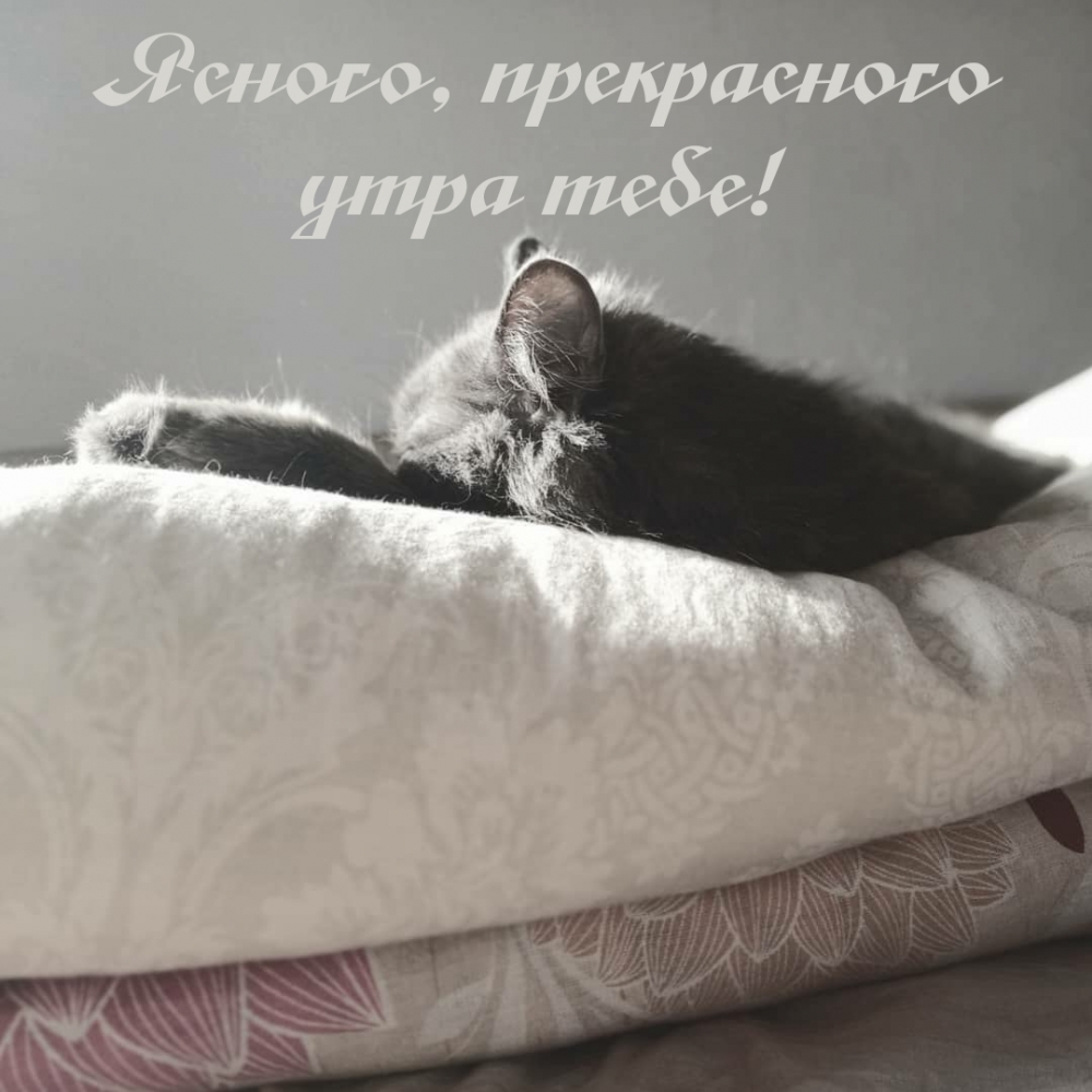 Ясного, прекрасного утра тебе!