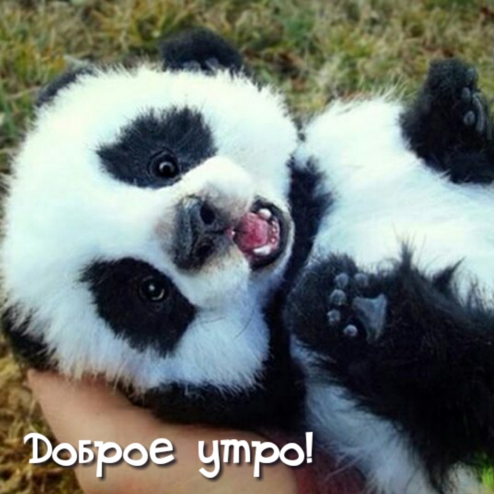 Доброе утро!