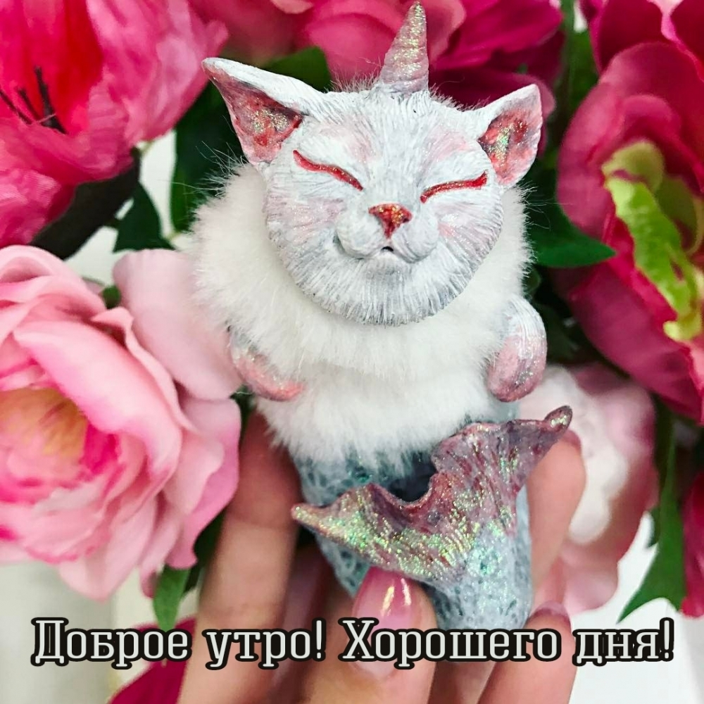 Доброе утро! Хорошего дня!
