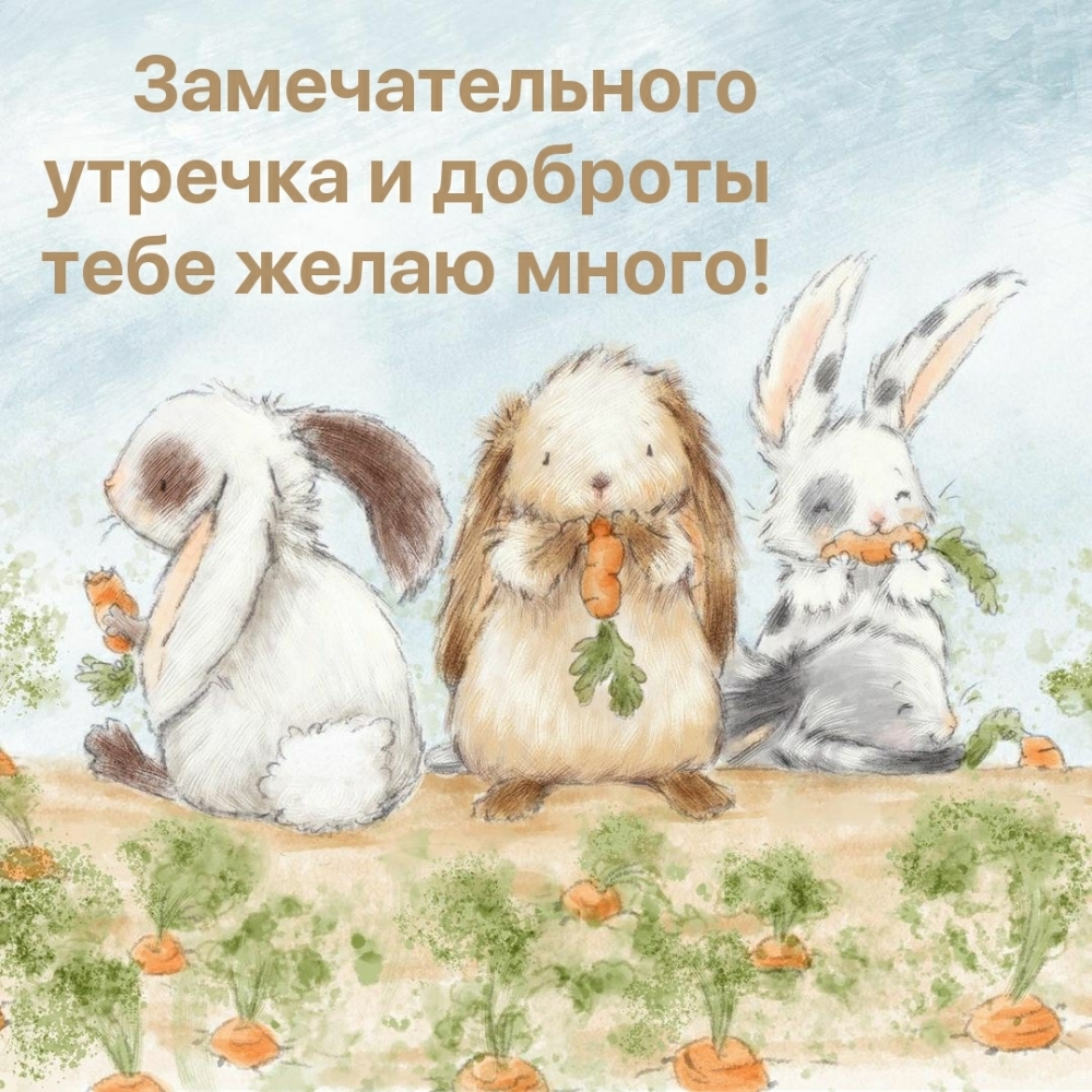 Замечательного утречка и доброты тебе желаю много!