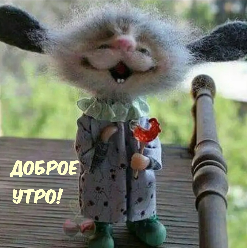 Доброе утро!