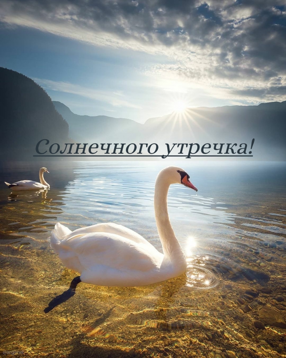 Солнечного утречка!