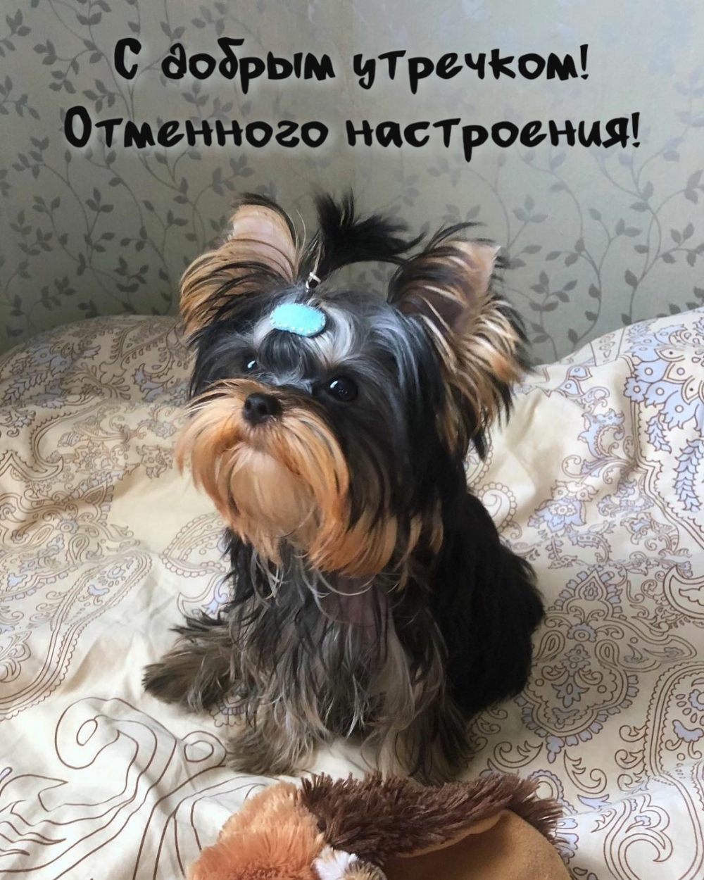С добрым утречком! Отменного настроения!